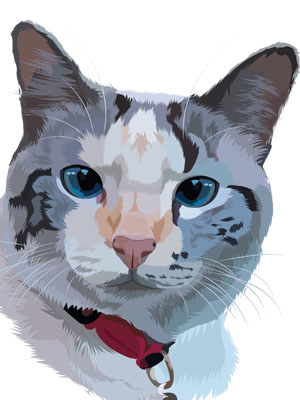 pet illustration